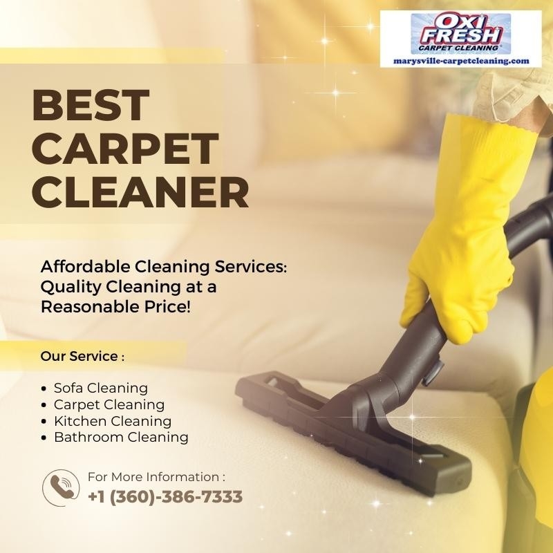 Best Carpet Cleaner