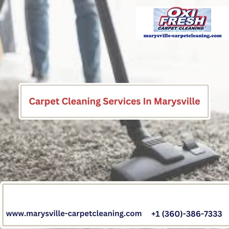 Carpet Cleaning